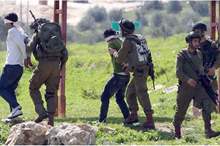 351bf68e734c2fd6c8fe4074644c5e3a