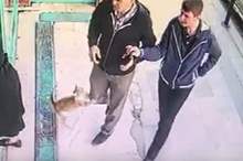 11389588-6844189-image-a-17_1553429132363