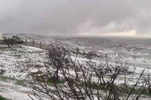 55564157_963967043809184_8209434192182771712_n