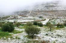 55680154_963978417141380_3415433933095960576_o