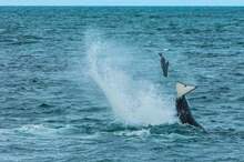 5c98d68795a5978b658b45a2