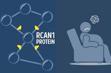 70af97f4-f272-4b0c-8109-f123c1ccc187