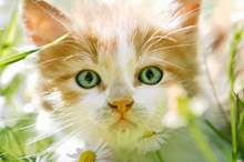 5c98ef3c95a5978f658b45dc