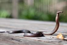 5c9a3cb0d43750af3d8b458e