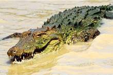 News-P-435090-636891967049383121