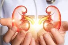 doc-p-566747-636883525600228418-327159-large-395712-large-jpg-29556598391378503