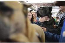 5c9b7df3d43750e31e8b4599