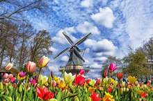 shutterstock_546097630-640x480