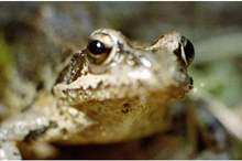 Doc-P-570326-636892284993916627