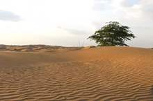 5c9cacc0d43750437d8b4572