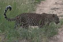 5c9b5d4495a597be3a8b4605