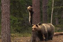 5c9e04f095a5979a228b45a5