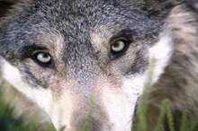 5c792d7cd4375019708b460d