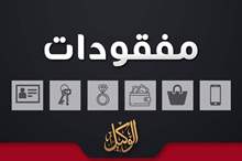 12201818125946195387065