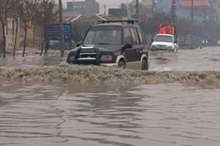 cropped_7078596_1551602609