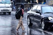 220195204412861101029