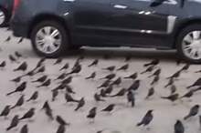 Doc-P-562331-636872872833701831