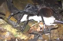 5c7ce2b195a597c3668b458e