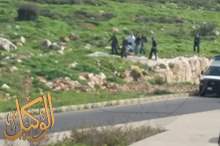 53419614_1250001835157644_5961720021972418560_n