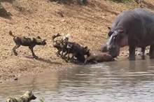 5c7f983195a597b9228b4609