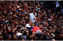 8e972635c1fc41e86c4ab0be3cb140f6