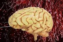 5c80db1b95a5971e748b4633