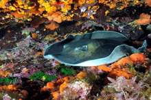 5c7fb8f195a597d8588b459e