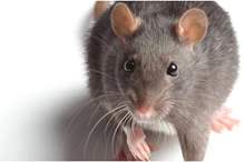 1e96a98b-237f-4ad1-9785-4cb55c3289f1_16x9_1200x676