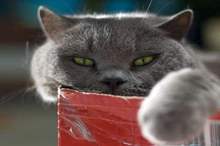 5cac7e7195a597323b8b45c6