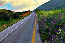 WhatsApp Image 2019-04-04 at 8.01.42 AM