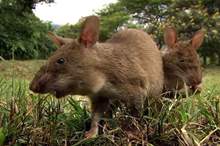 5cac7d6ed4375079168b45ac