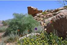 32074510-5bd1-4bf0-b9be-fe908763b3ac_16x9_1200x676