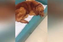 News-P-435712-636894687522375728