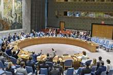 201941131845670Q (1)