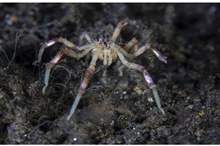 5cb098ff95a5971f7b8b45e5