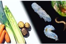 5caf47a0d43750aa5c8b45d0