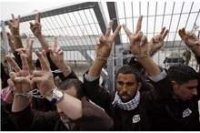 manar-07631840014932386402