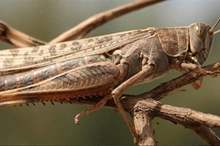 main_image5c73f3c0a2a0c