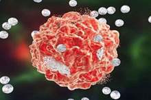 5caf5cb095a59798268b45bb-jpg-50785547951588265