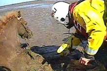 900x450_uploads,2019,04,15,6418805efe