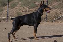 5cb0a89795a597d5228b4580