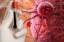 5cb425c395a597ed568b4613