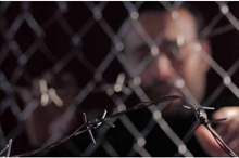 10162333038764234517641815171512