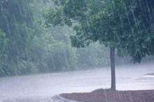 e374c1d3ee_118026_odeur-pluie_0