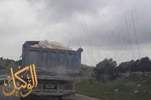 57181906_2218208014931850_3595117373142597632_n