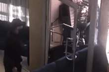 Doc-P-578123-636910864771109605