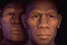 faces-evolove-1742019-jpg-37651255415165117