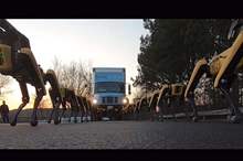 5cb6f493d43750b5028b461c