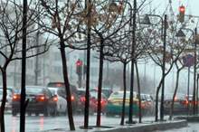 420195233114840337844