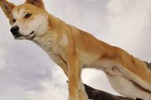 363c89fa-3012-4cdf-84ab-cf94333f70f1_16x9_1200x676